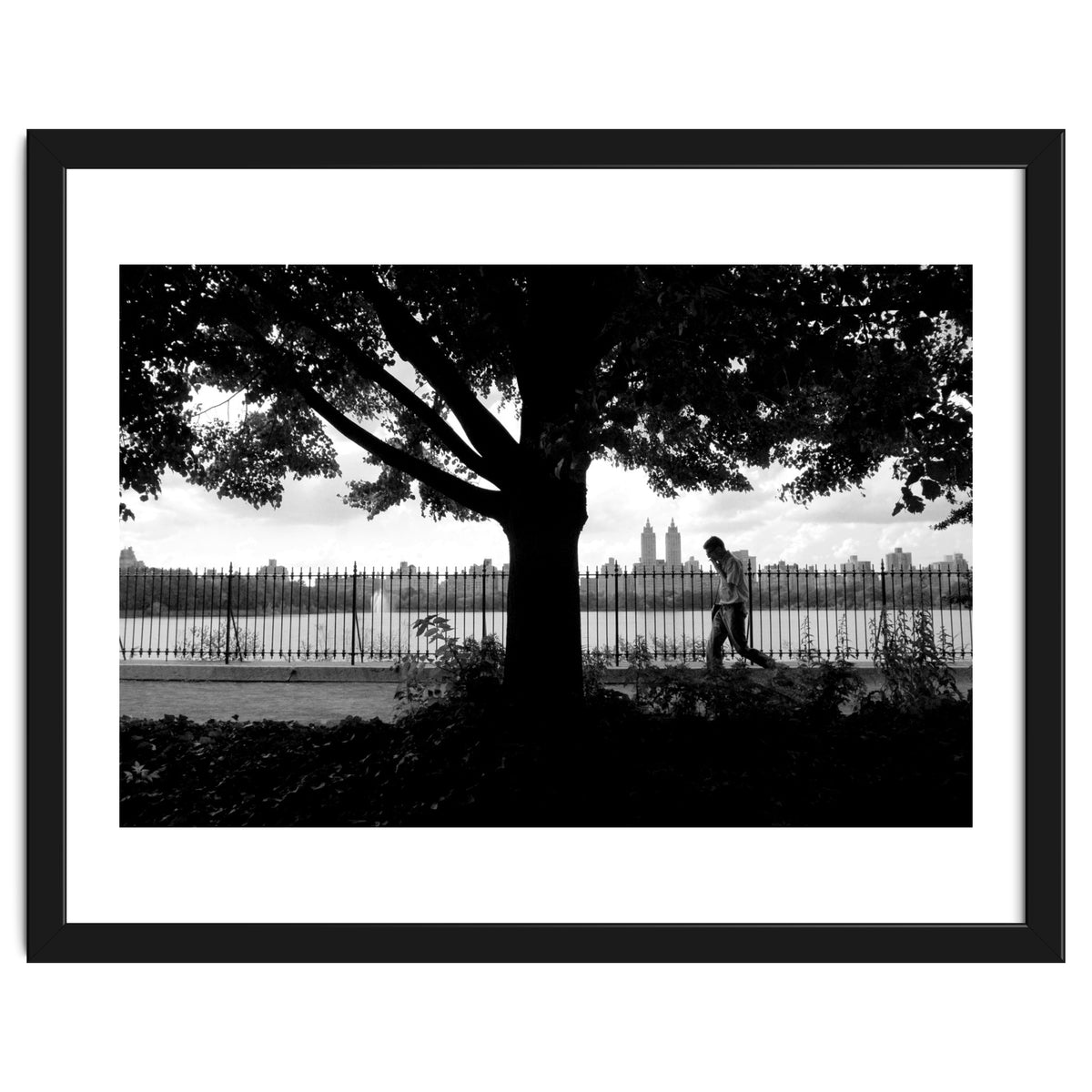 Central Park, New York City