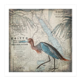 Egypt Heron (Print Only) thumbnail