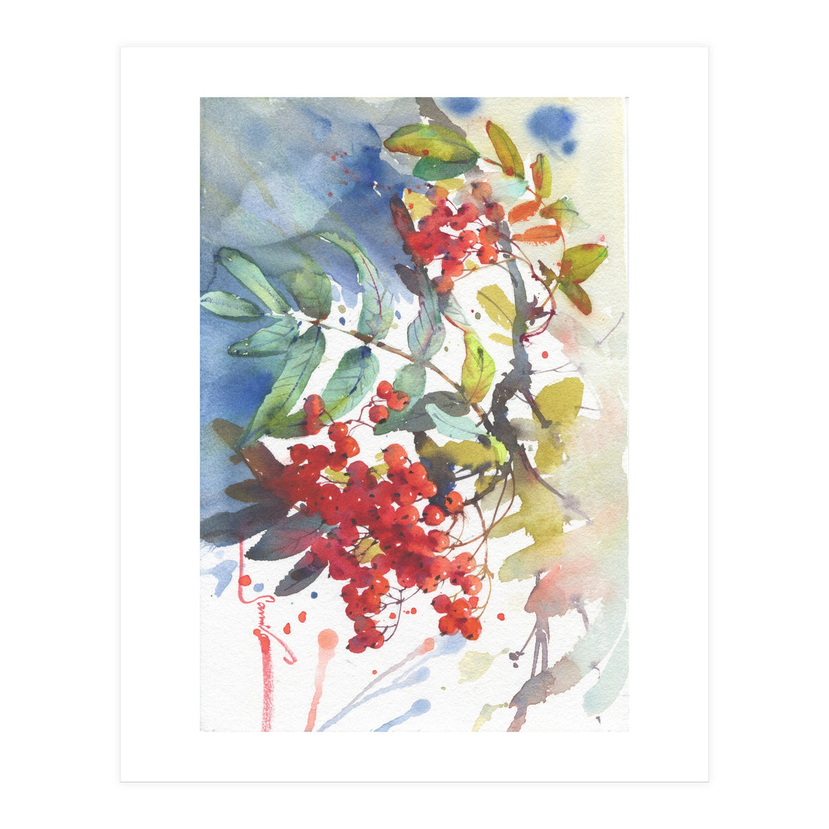 Viburnum / Guelder rose (Print Only)