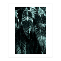 The Jungle (Print Only)