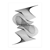 Organized Chaos_White (Print Only) thumbnail