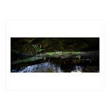 Nature #1 (Print Only) thumbnail