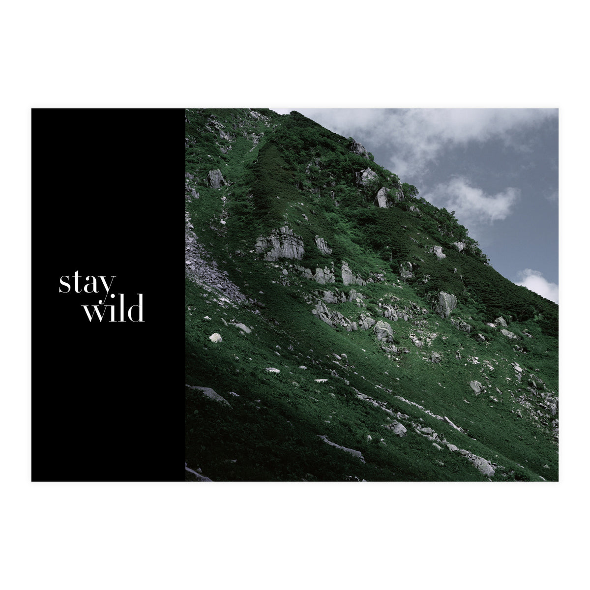 stay wild  (Print Only)