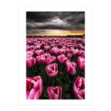 Spring Palette (Print Only) thumbnail