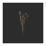 Moody Golden Botanicals - Square (Print Only) thumbnail