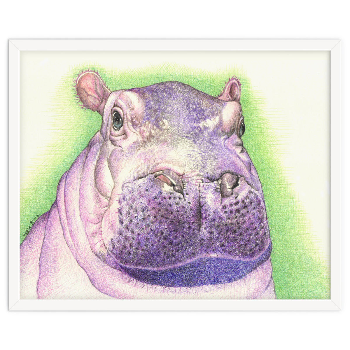 Purple Hippo