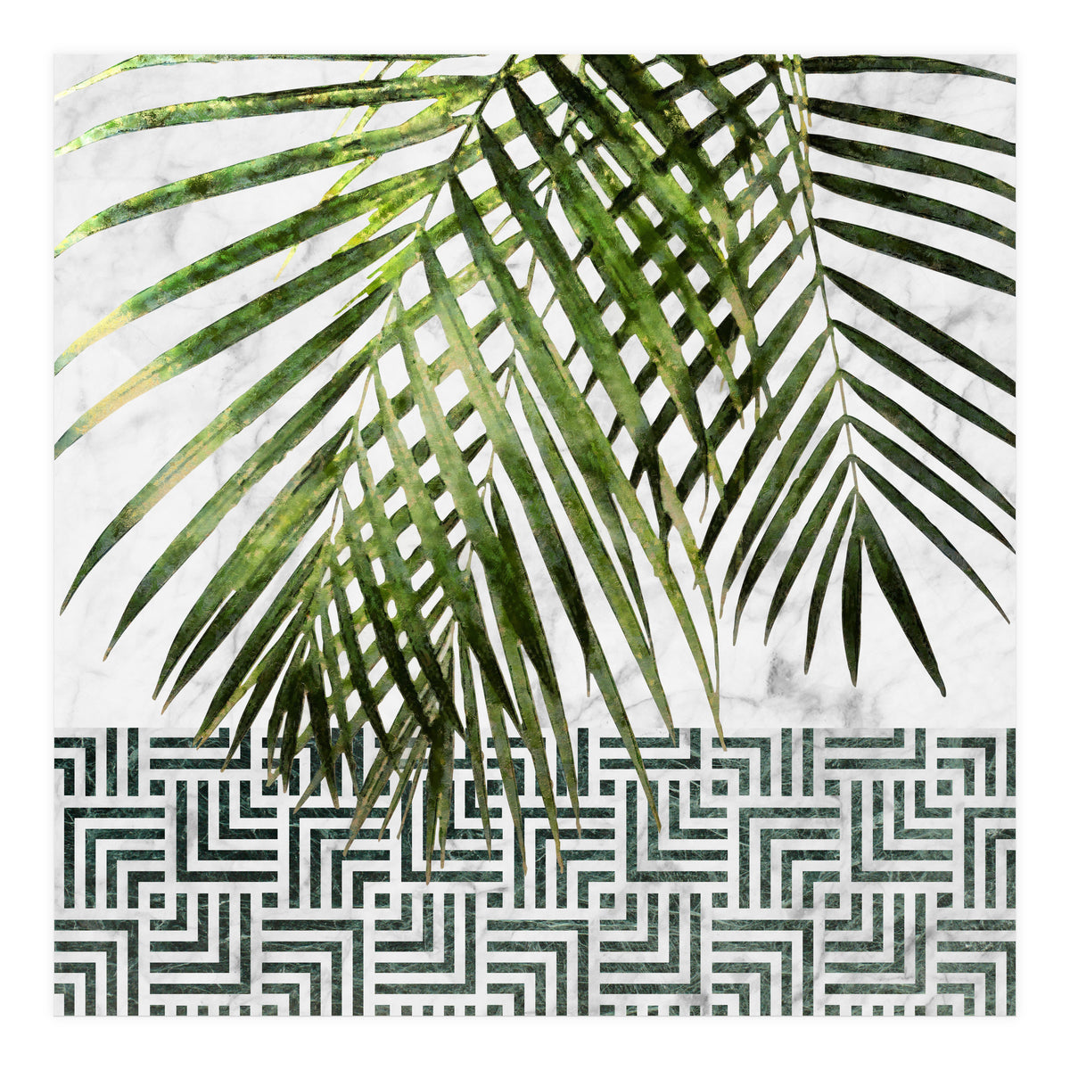 Palm Leaves On White Marble And Tiles (Print Only)