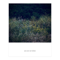 you are not alone - Nature Photography (Print Only)