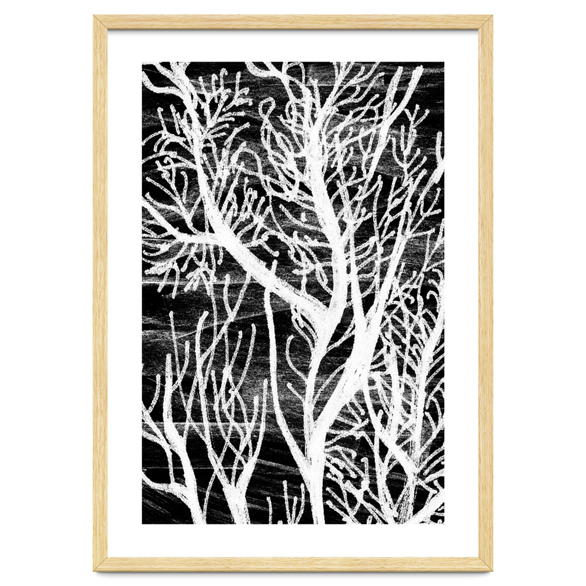 Desert Colours Collection 5