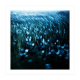 dandelion meadow (Print Only) thumbnail