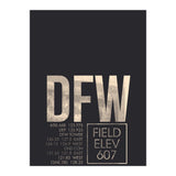 Dallas/Fort Worth Atc (Print Only) thumbnail