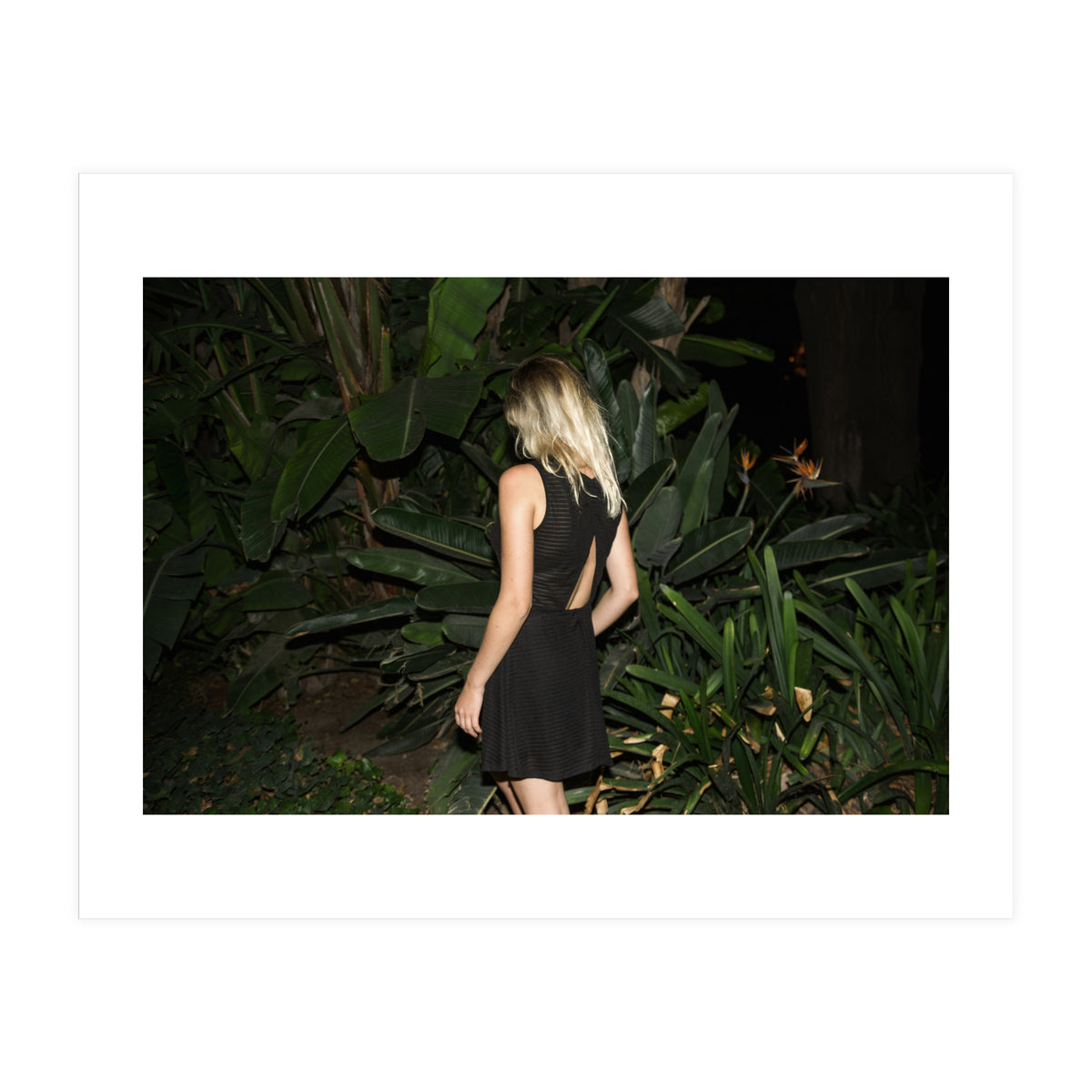 Malaga at Night (Print Only)