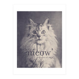 Famous Quote Cat (Print Only) thumbnail