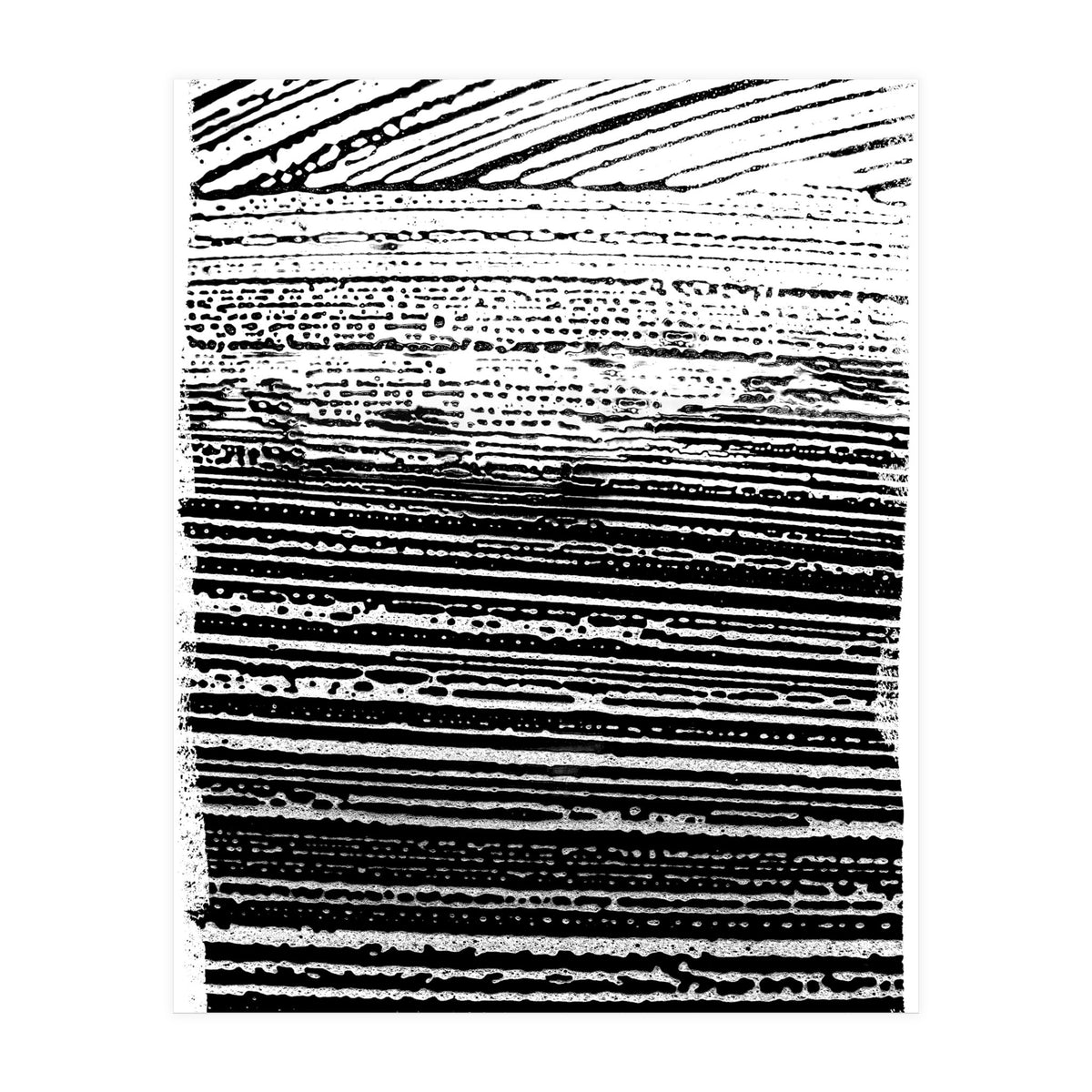 Dizzy 1 (Print Only)