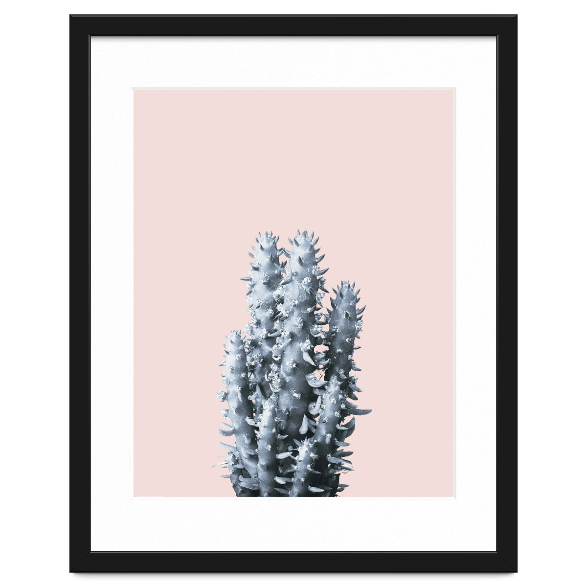 Cactus collection BL-III