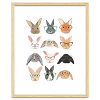 Rabbits in Glasses