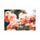Blush II (Print Only) thumbnail