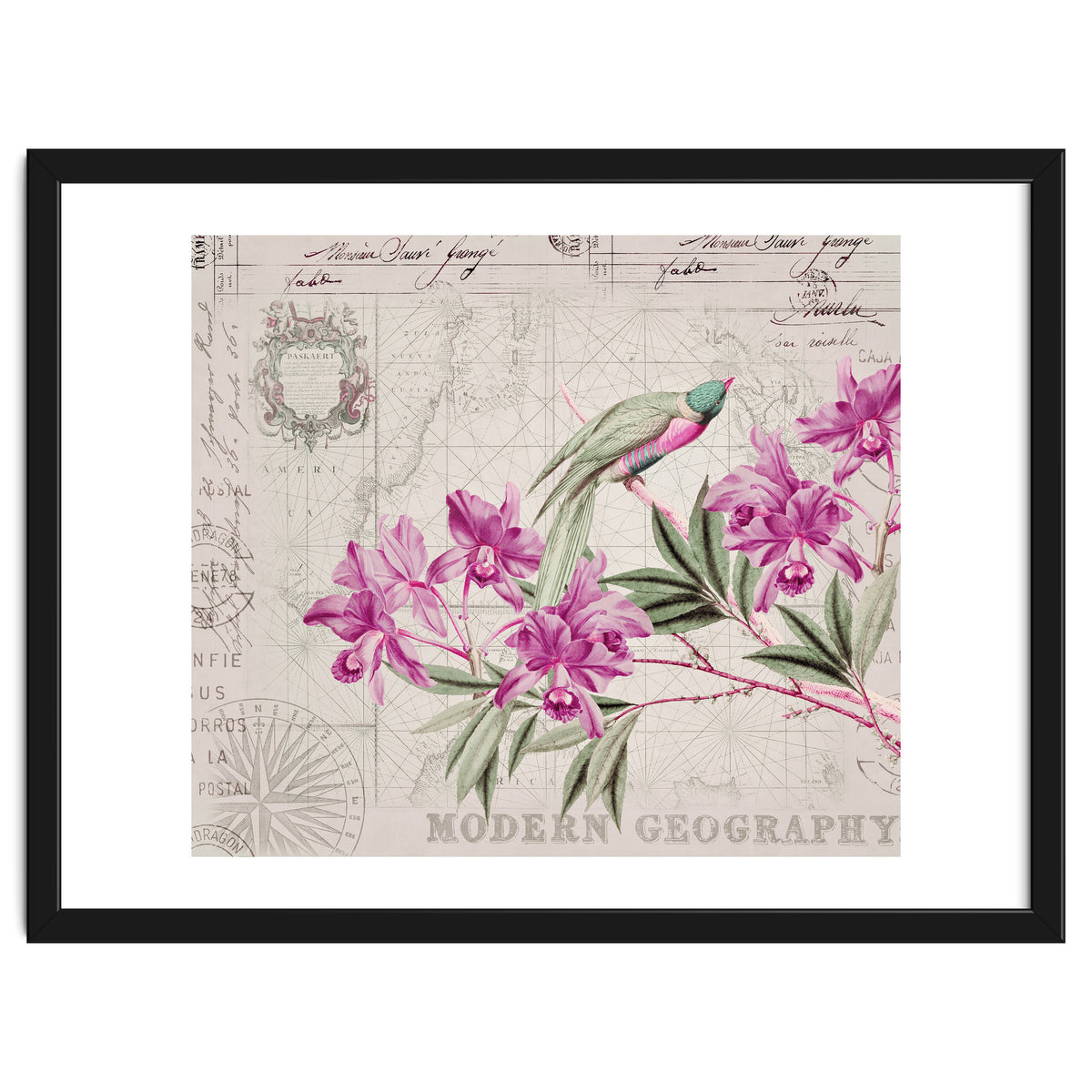 The Birds Voyage Of Discovery