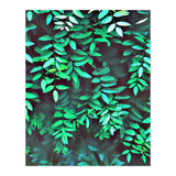 Greener (Print Only) thumbnail