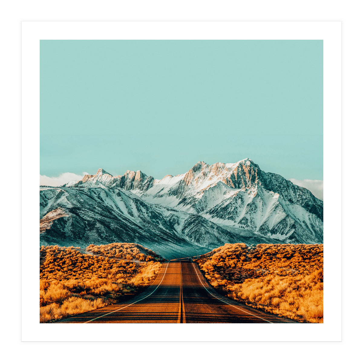 The Road Less Traveled (Print Only)