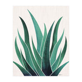 Desert Agave (Print Only) thumbnail