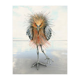 Reddish Egret (Print Only) thumbnail