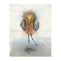 Reddish Egret (Print Only)