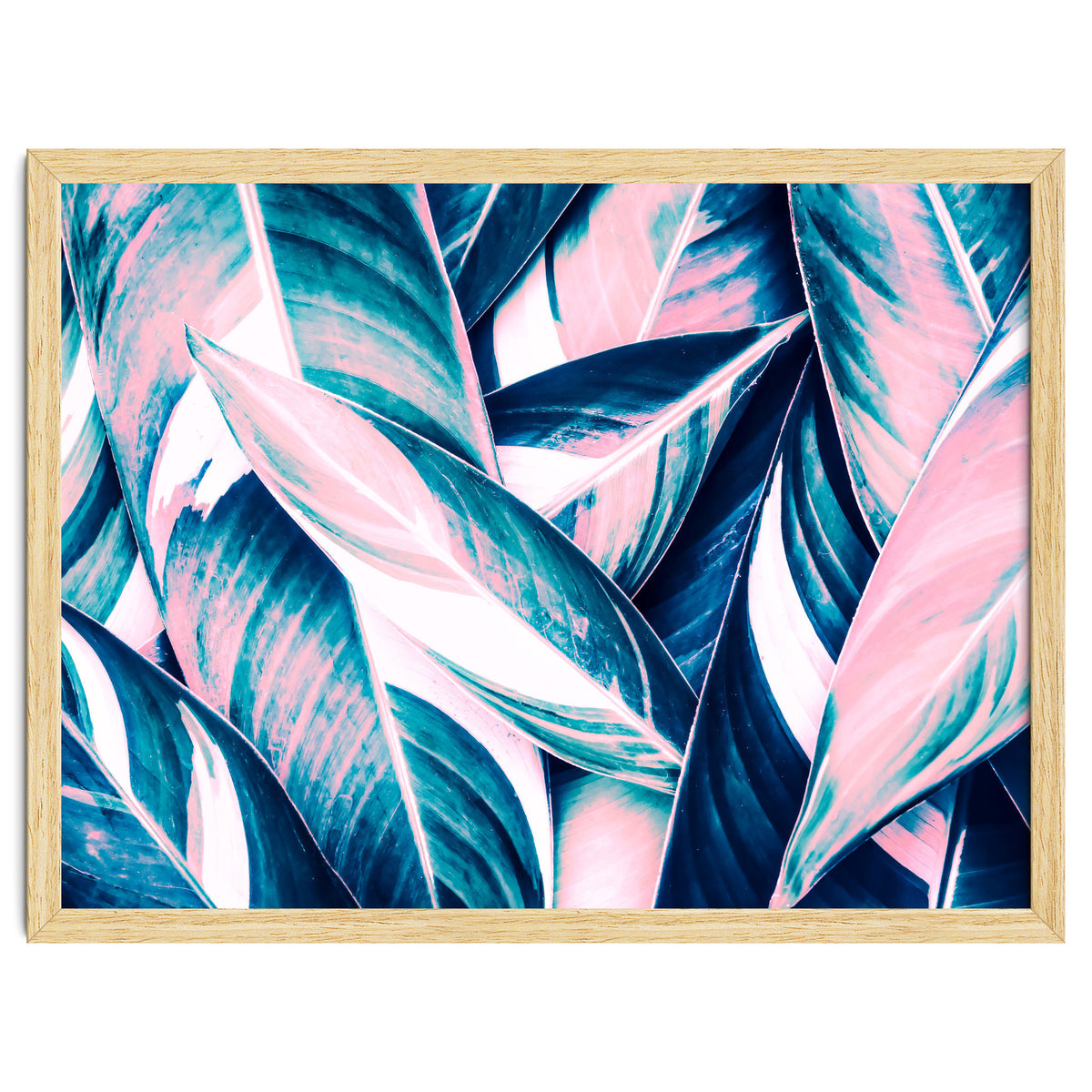 Botanical leaf pink and blue