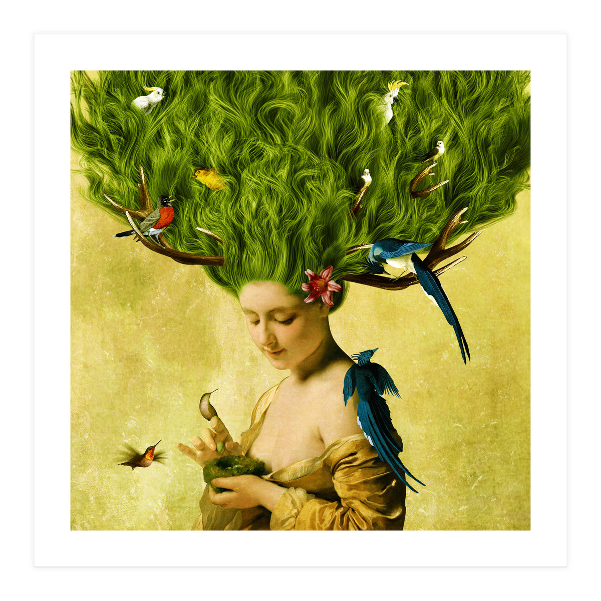 Safe Haven (Print Only)