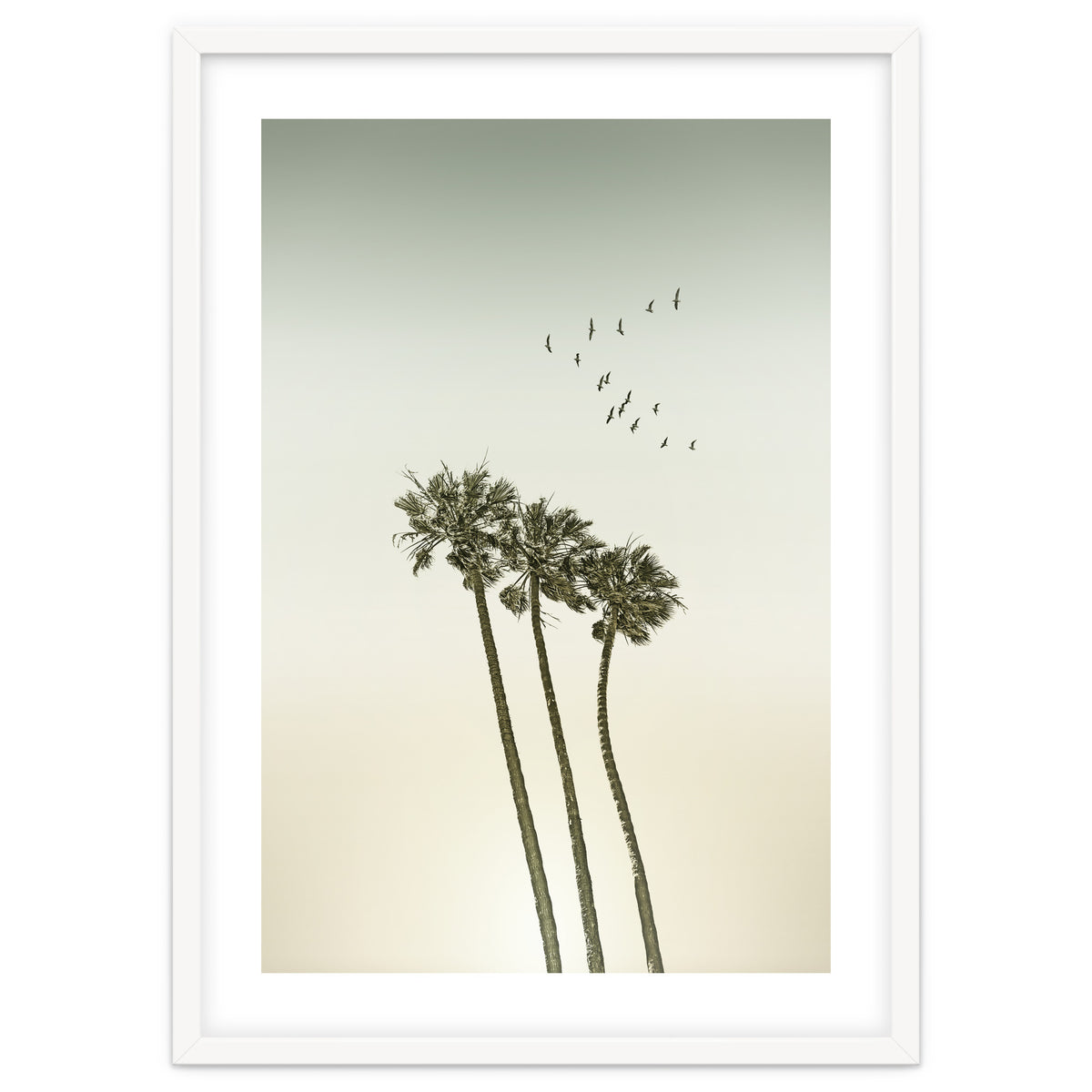 Vintage palm trees at sunset