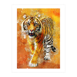 Tiger (Print Only) thumbnail