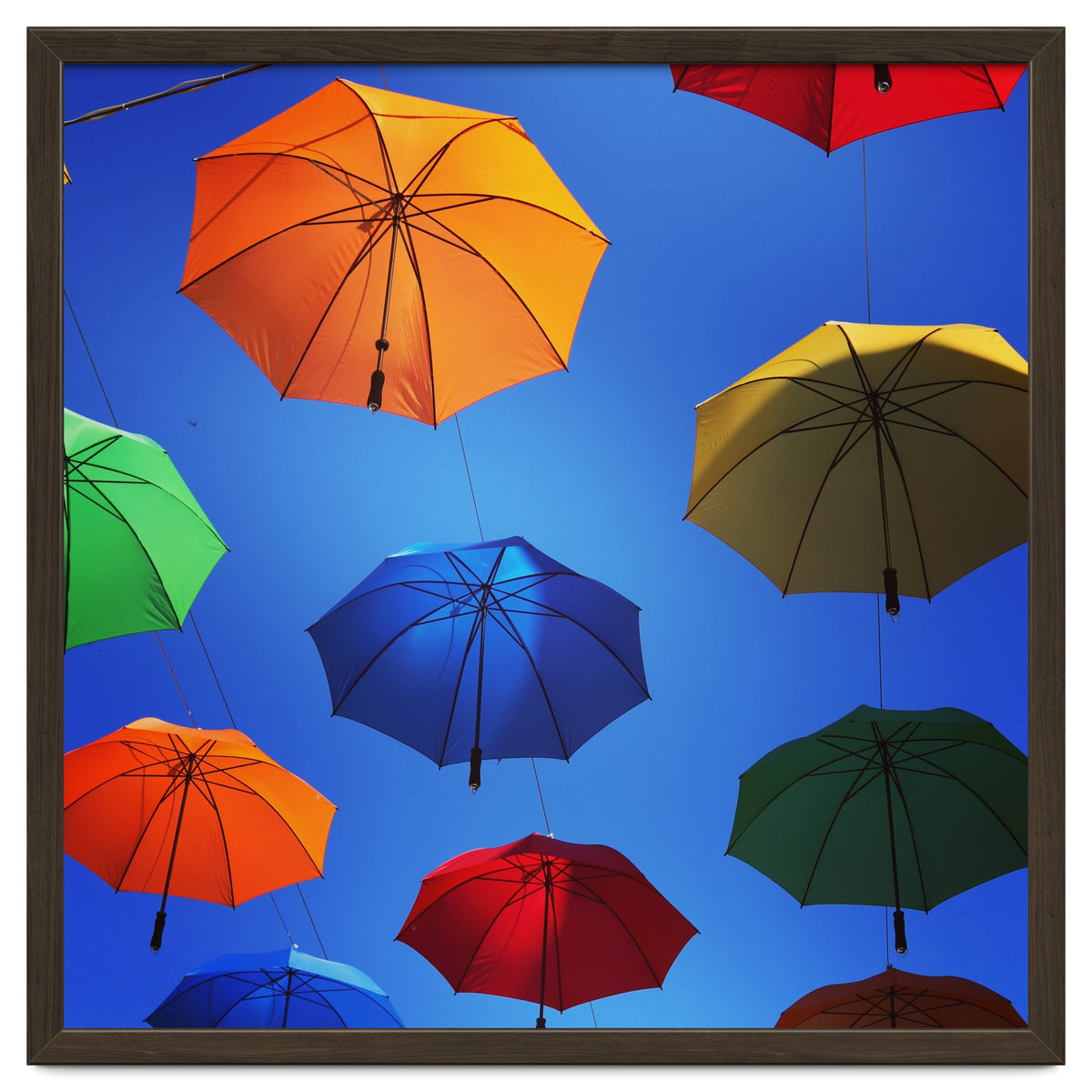 Rainbow umbrellas
