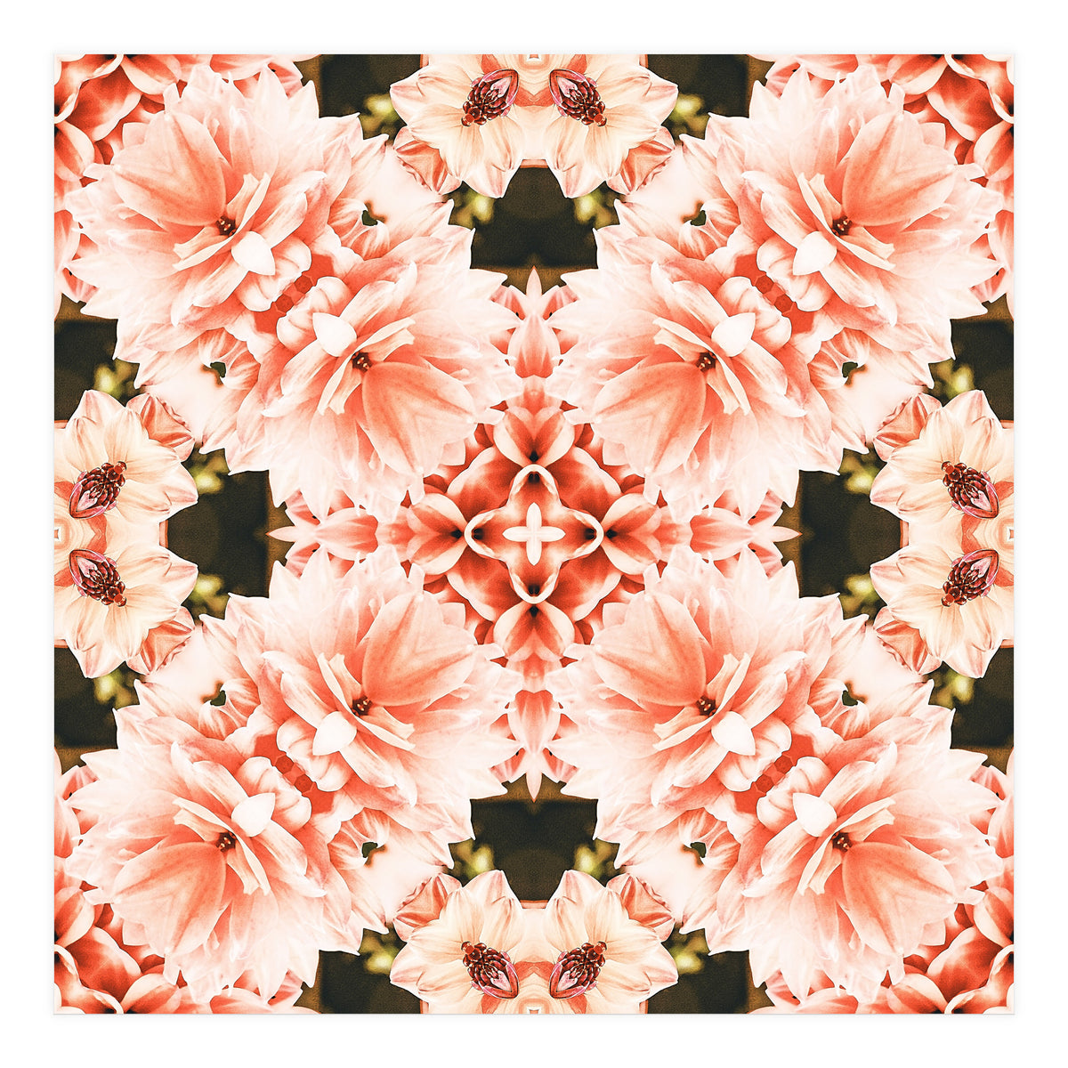 Blush Mandala (Print Only)