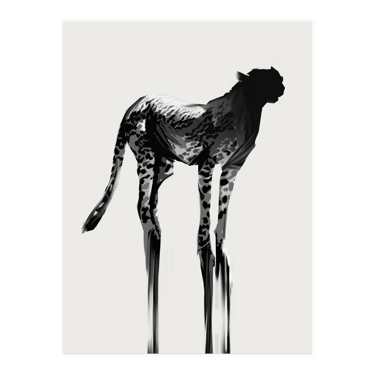 Cheetah  (Print Only)