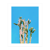 Cactus Beauty (Print Only)