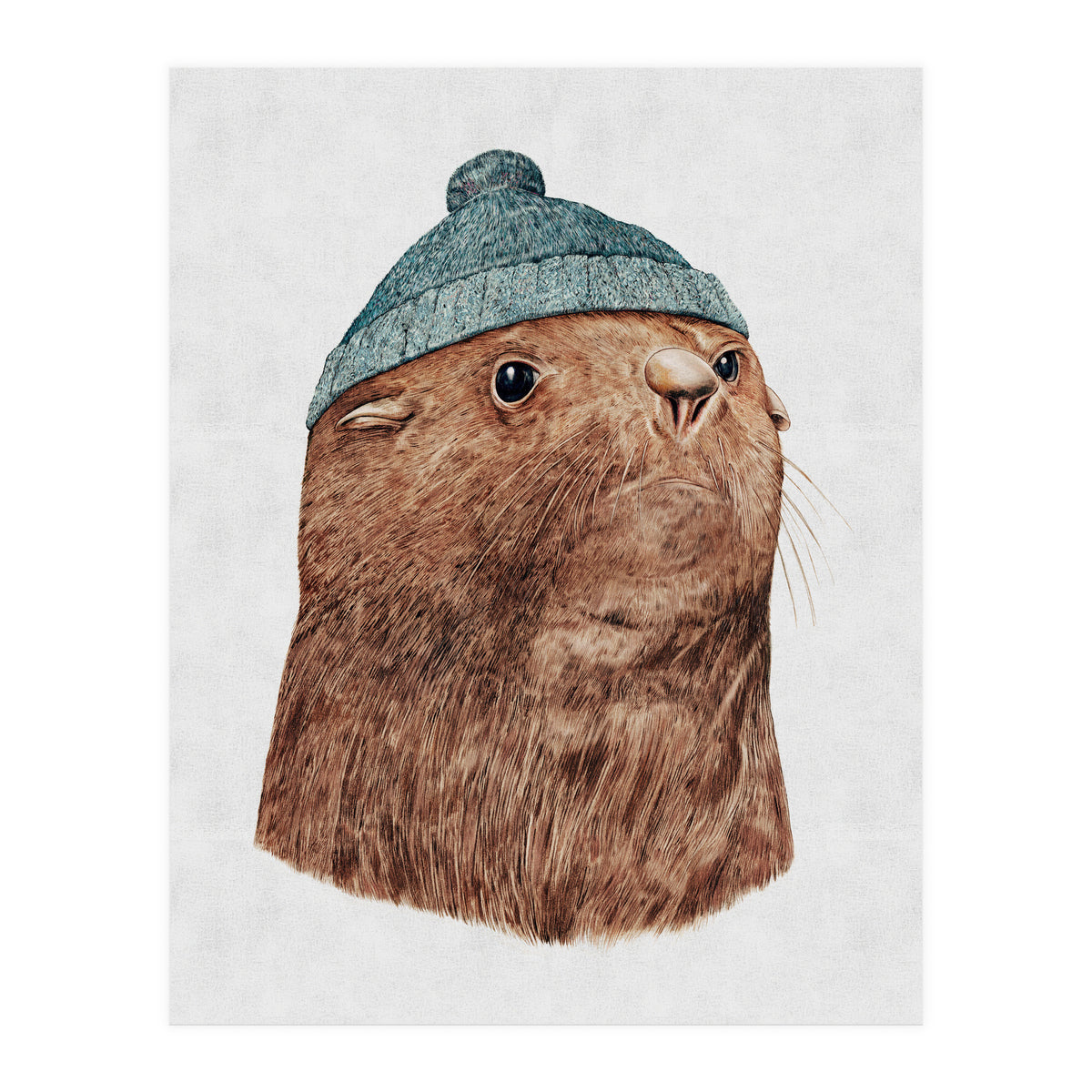 The Fur Seal (Print Only)