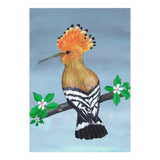 Hoopoe bird (Print Only) thumbnail