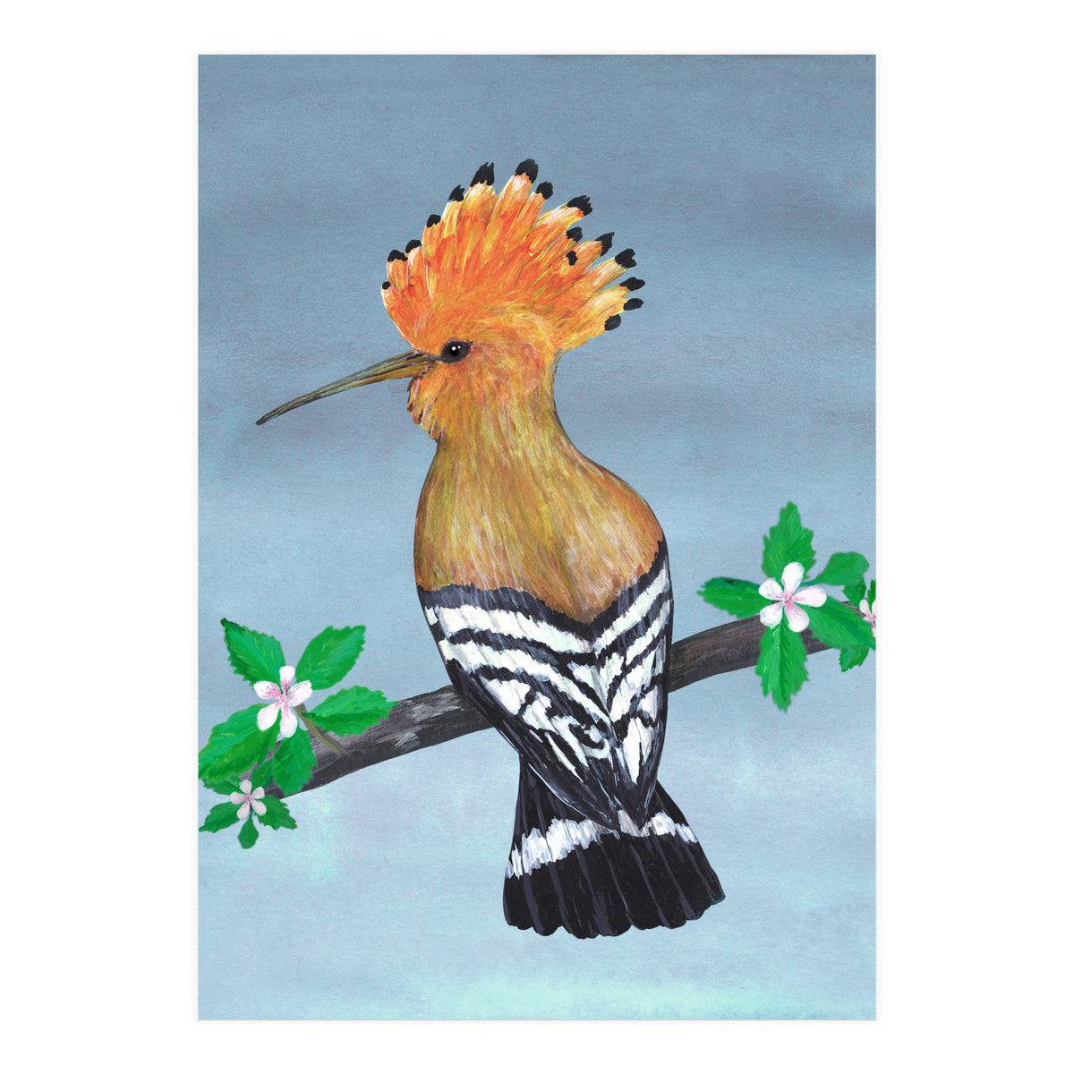 Hoopoe bird (Print Only)