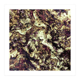 Surface Preparation (Print Only) thumbnail