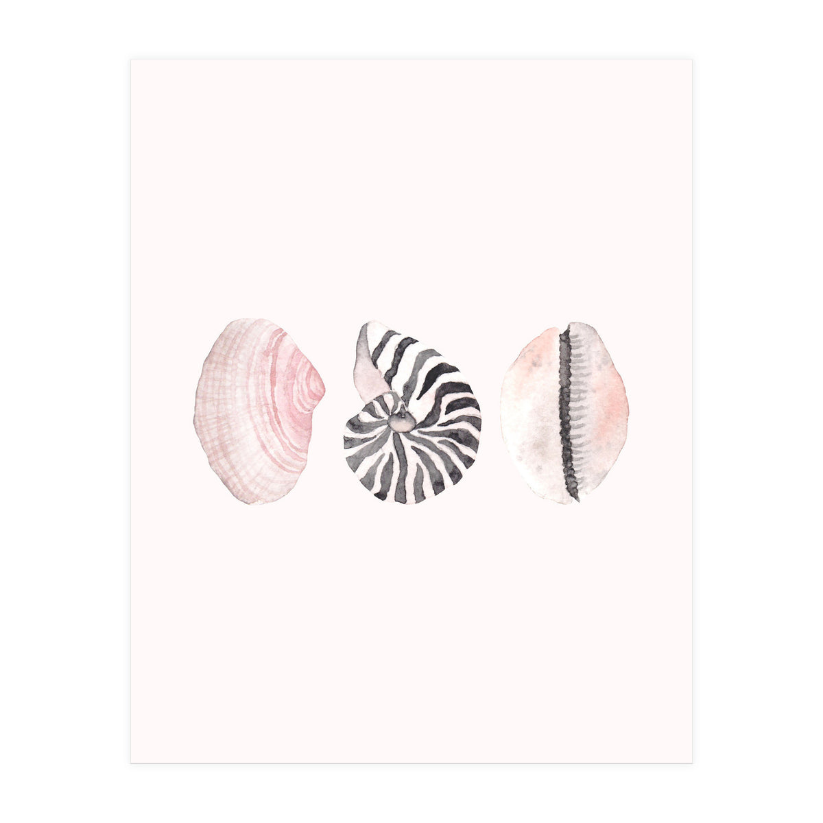 Seashells (Print Only)