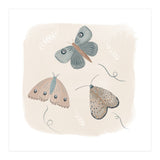 Moths in the moonlight  (Print Only) thumbnail