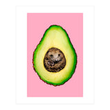 Hedgehocado (Print Only) thumbnail