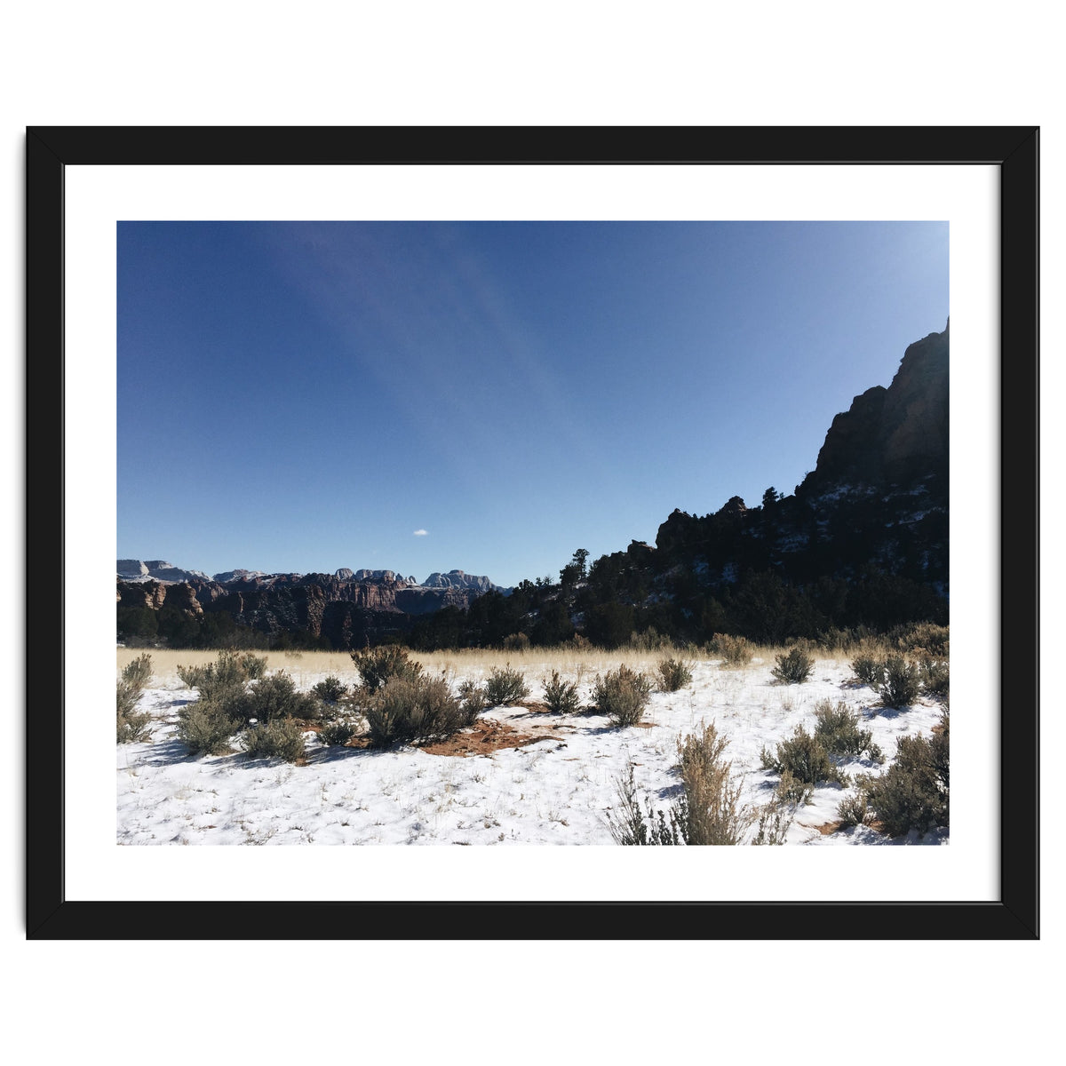 Zion National Park II