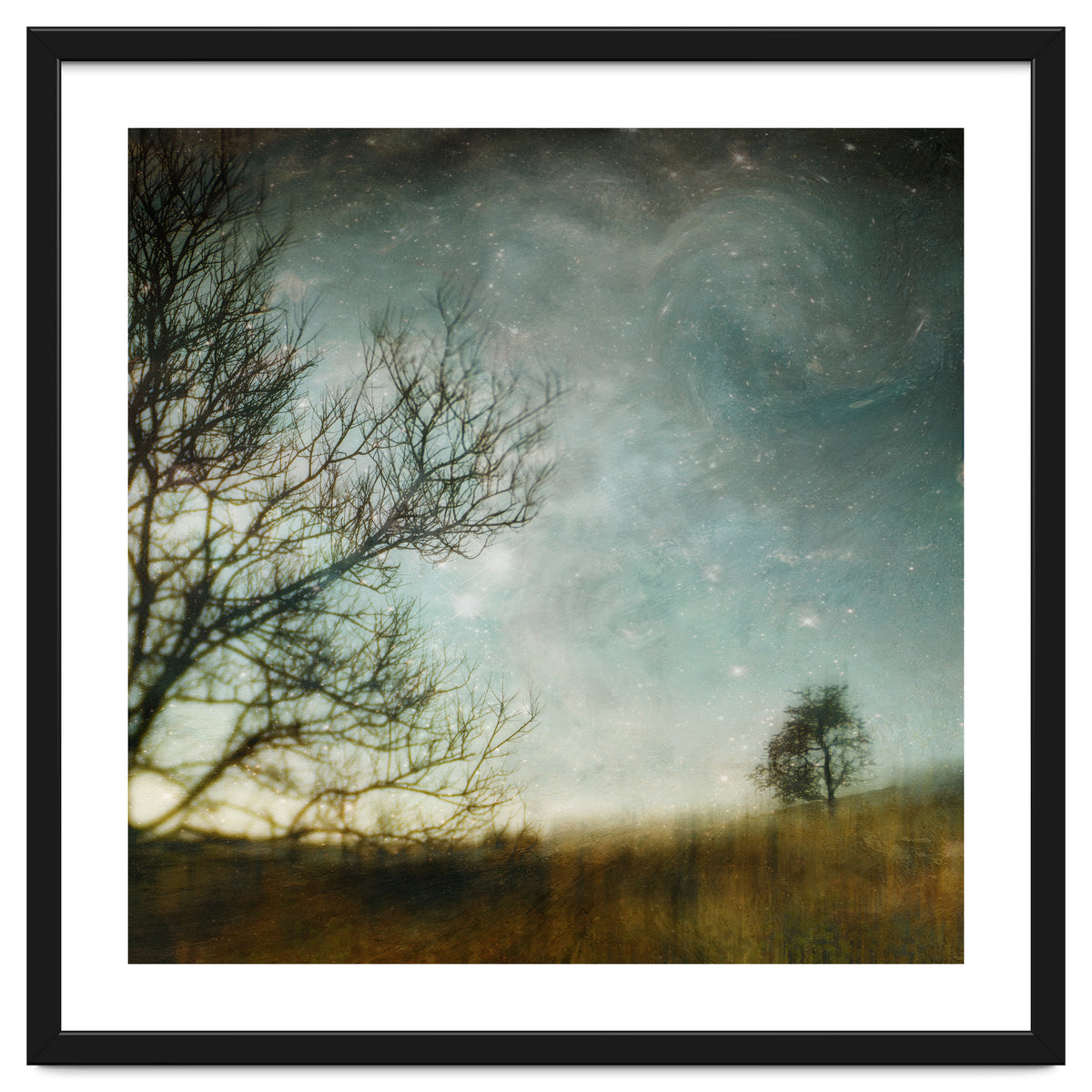 The Tree That Whispered