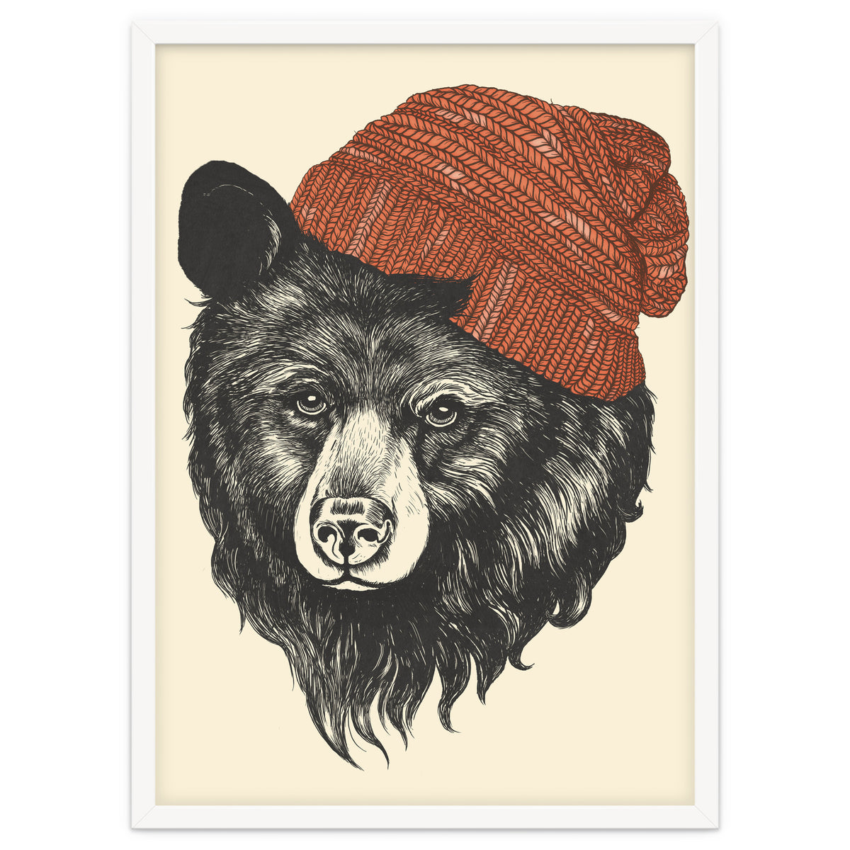 Zissou The Bear