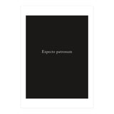 Expecto Patronum Potter (Print Only) thumbnail