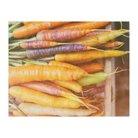 Carrots (Print Only)