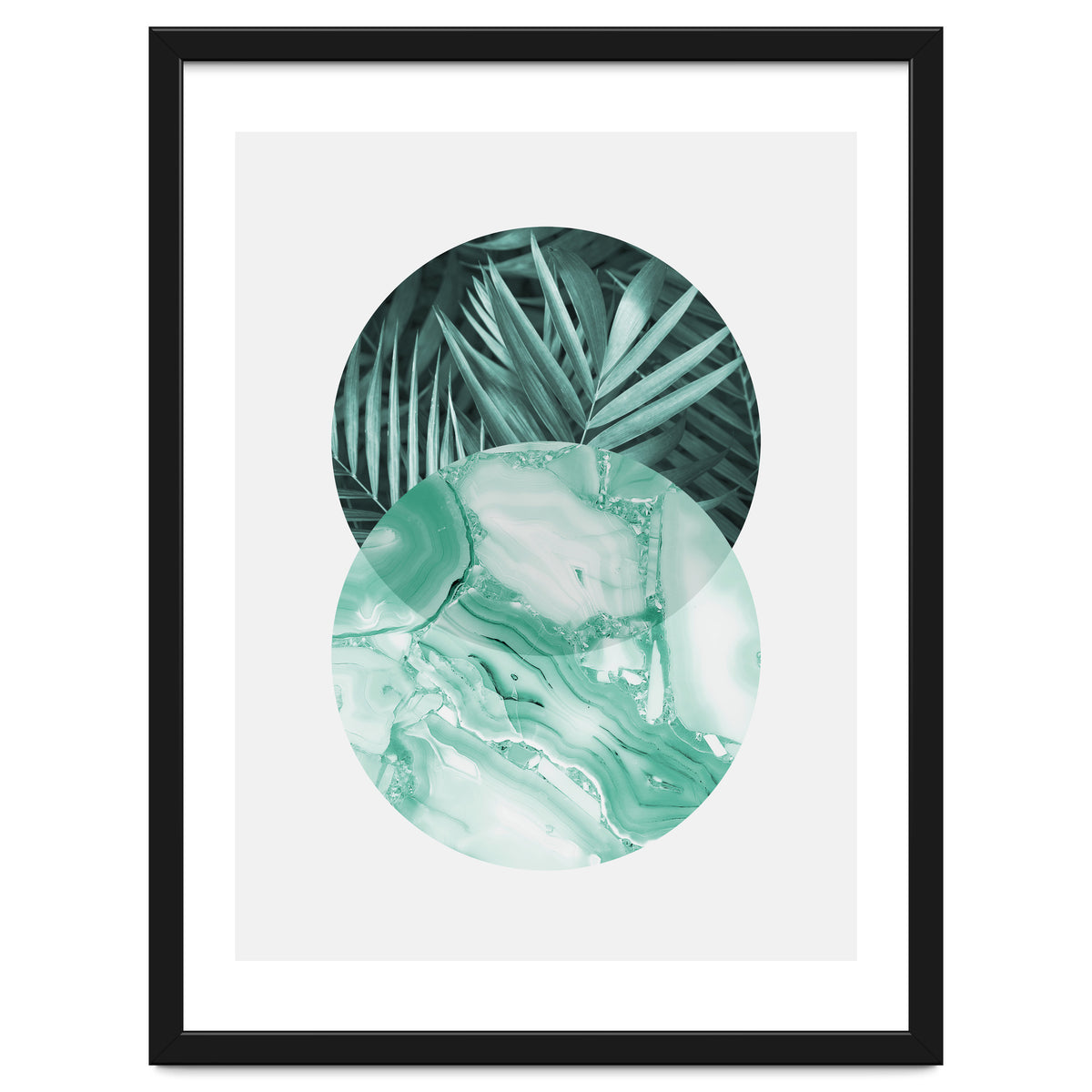 Botanical and geometric IV