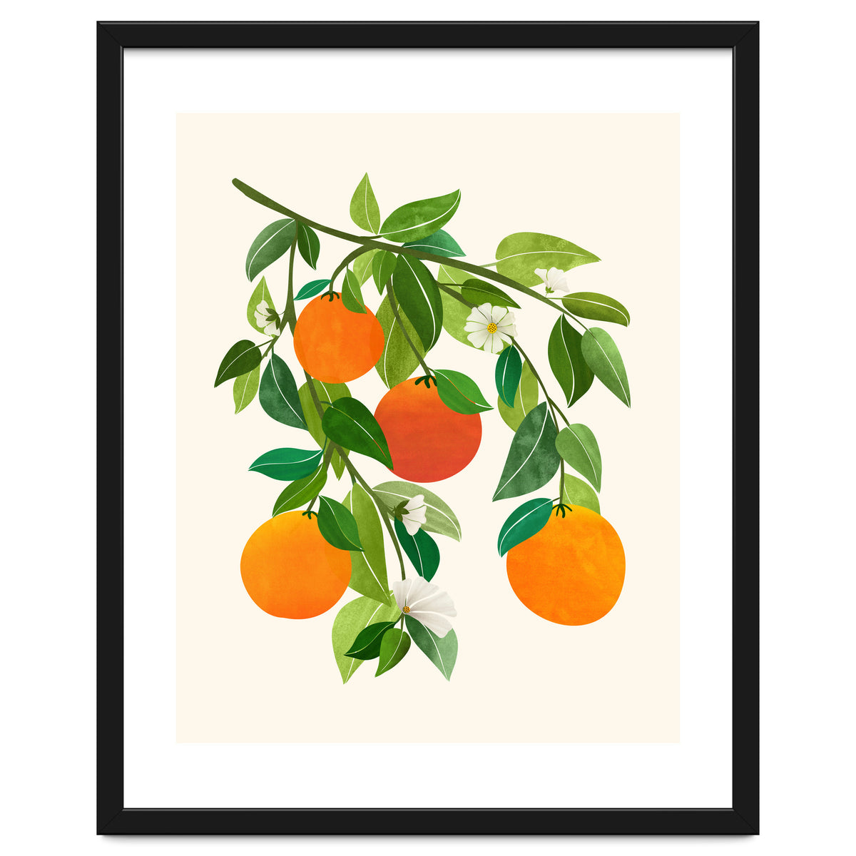 Oranges and Blossoms II