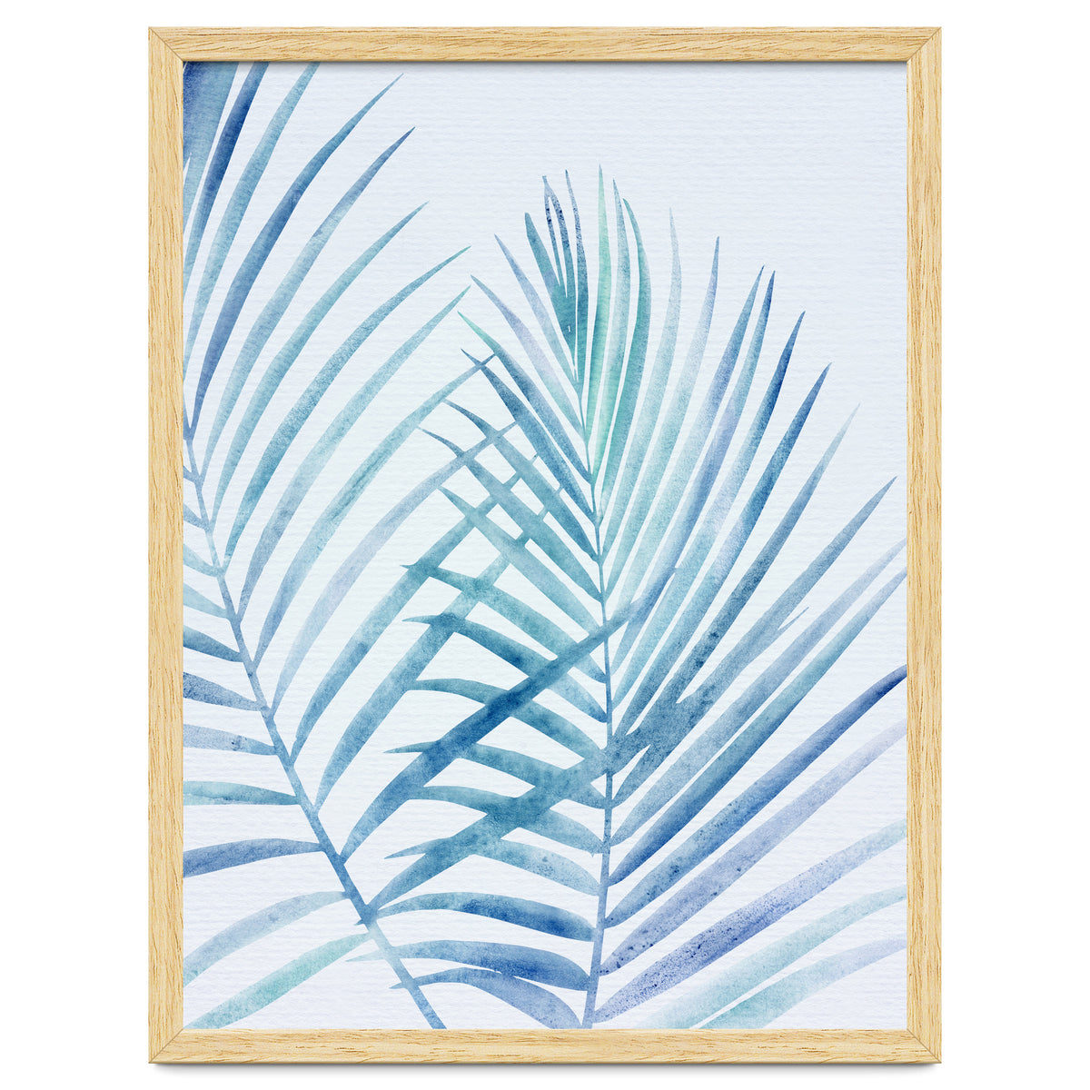 Coastal Palm Fronds